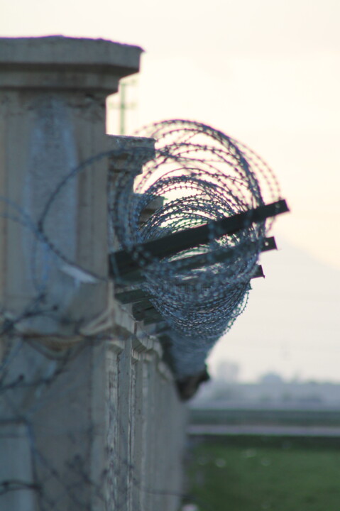 Photographie intitulée "wire netting" par Orhan Güldeste, Œuvre d'art originale, Photographie non manipulée