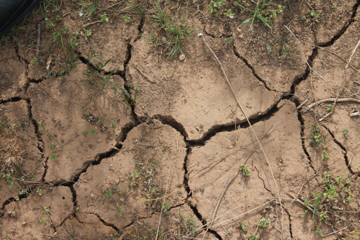 Photographie intitulée "cracked earth" par Orhan Güldeste, Œuvre d'art originale, Photographie non manipulée