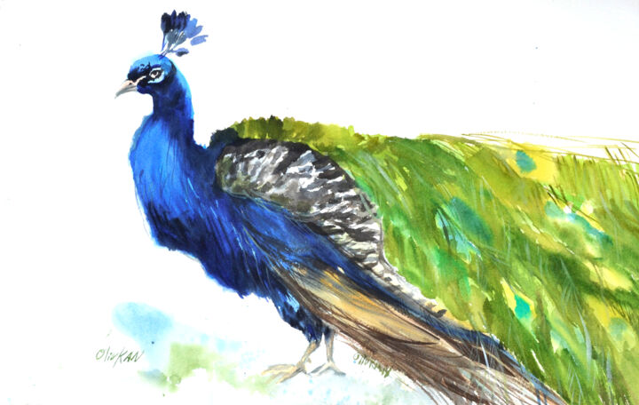 Pintura titulada "Peacock Watercolor…" por Olivkan Art, Obra de arte original, Acuarela