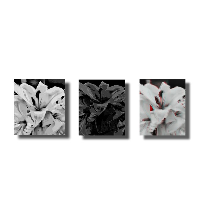 Photographie intitulée "Trio" par Ozz, Œuvre d'art originale, Photographie numérique