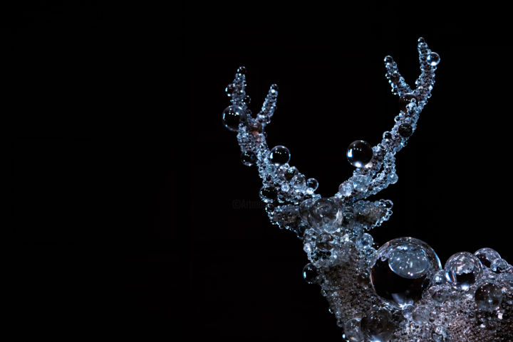 「crystal deer」というタイトルの写真撮影 Karina Panaetovaによって, オリジナルのアートワーク
