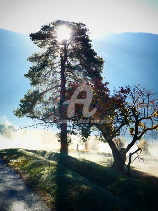 "Automne valaisan." başlıklı Fotoğraf Pascal Russi (PRussi) tarafından, Orijinal sanat