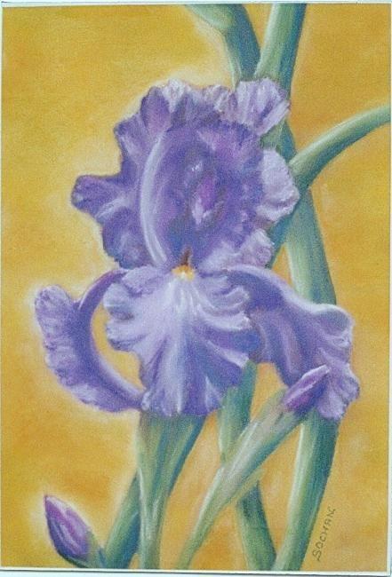 Pittura intitolato "Iris" da Fabienne Sochan, Opera d'arte originale