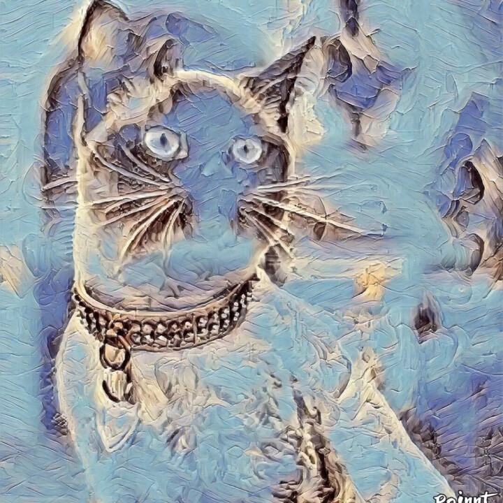 Digital Arts titled "Cat Digital dos" by Patricia Brown (Artedibujopbrown), Original Artwork, AI generated image