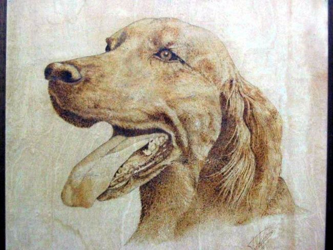 Drawing titled "perro" by Paula Aguirre, Original Artwork, Other