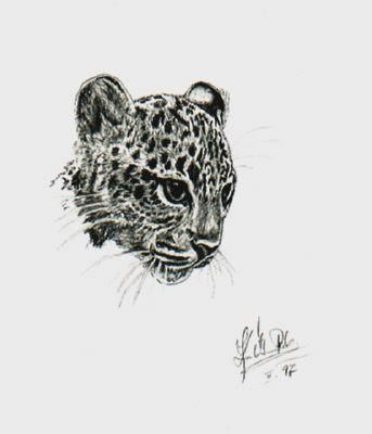Painting titled "Young Leopard" by Pavouk7, Original Artwork, Oil