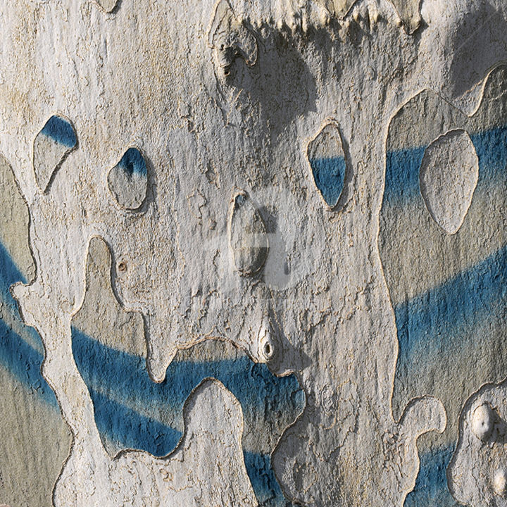 Fotografía titulada "Visage bleu" por Pierre Boillon, Obra de arte original, Fotografía digital Montado en Aluminio