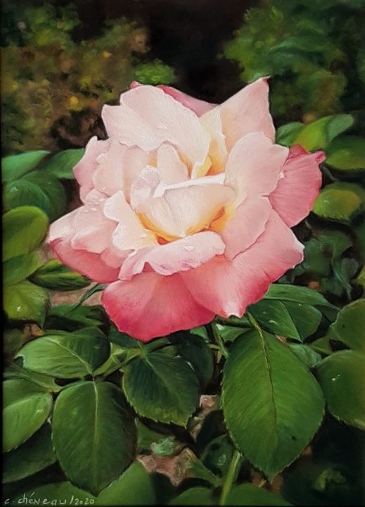 Rysunek zatytułowany „Rose d'Ussé” autorstwa Cathy Cheneau, Oryginalna praca, Pastel