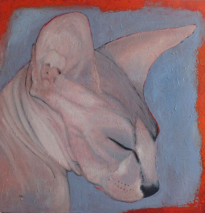 Pittura intitolato "Sphynx cat nap" da Vanja Marojevic, Opera d'arte originale, Acrilico