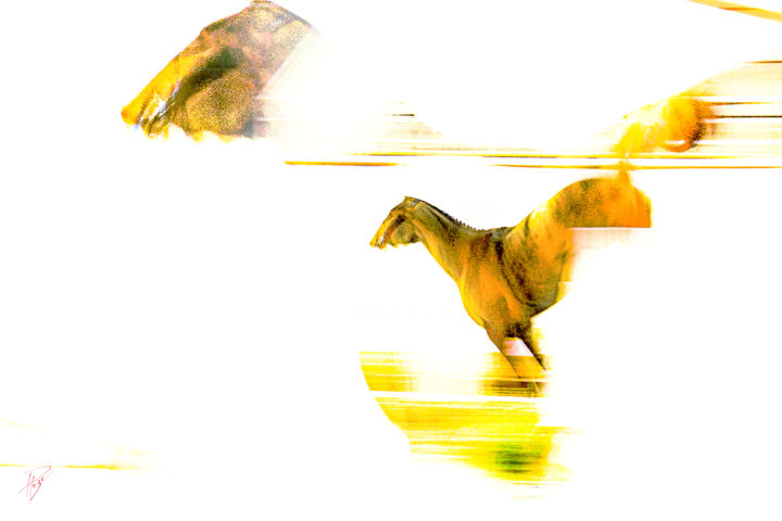 Photography titled "Le cheval jaune" by Philippe Loze, Original Artwork, Digital Photography
