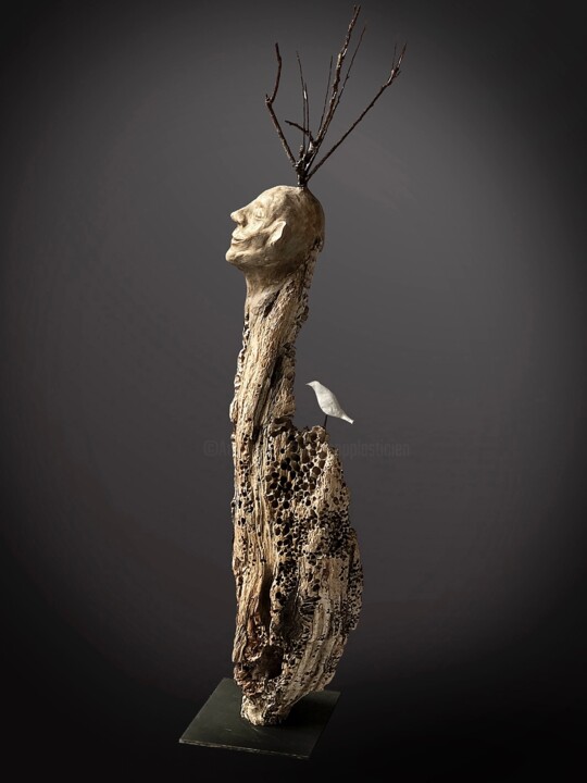 Sculpture intitulée "L’Ami des Oiseaux" par Picrate, Œuvre d'art originale, Bois