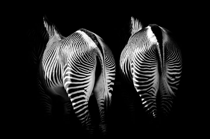 数字艺术 标题为“Zebra” 由Pics'L Art Galerie, 原创艺术品