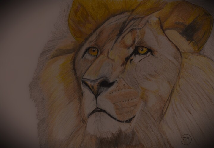 Dibujo titulada "Regard de lion." por Pierre Bayet, Obra de arte original, Lápiz