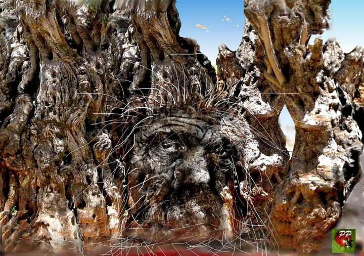 Digital Arts titled "ETRE VIEUX" by Pierre Peytavin, Original Artwork, 2D Digital Work
