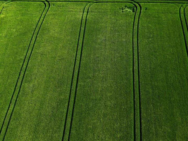 Fotografia zatytułowany „Polder 3 - Agricult…” autorstwa Pierre Piton, Oryginalna praca, Fotografia cyfrowa