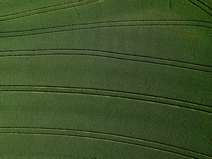 Photography titled "Polder 4 - Agricult…" by Pierre Piton, Original Artwork, Digital Photography