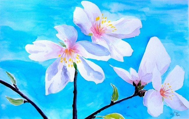 Flores De Almendro, Pintura por Pipo Jost Nicolas | Artmajeur