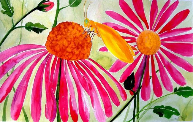 Schilderij getiteld "flores de equinacea" door Pipo Jost Nicolas, Origineel Kunstwerk, Aquarel