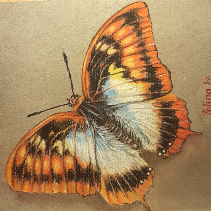 Disegno intitolato "Butterfly" da Polina Turgunova, Opera d'arte originale, Pastello