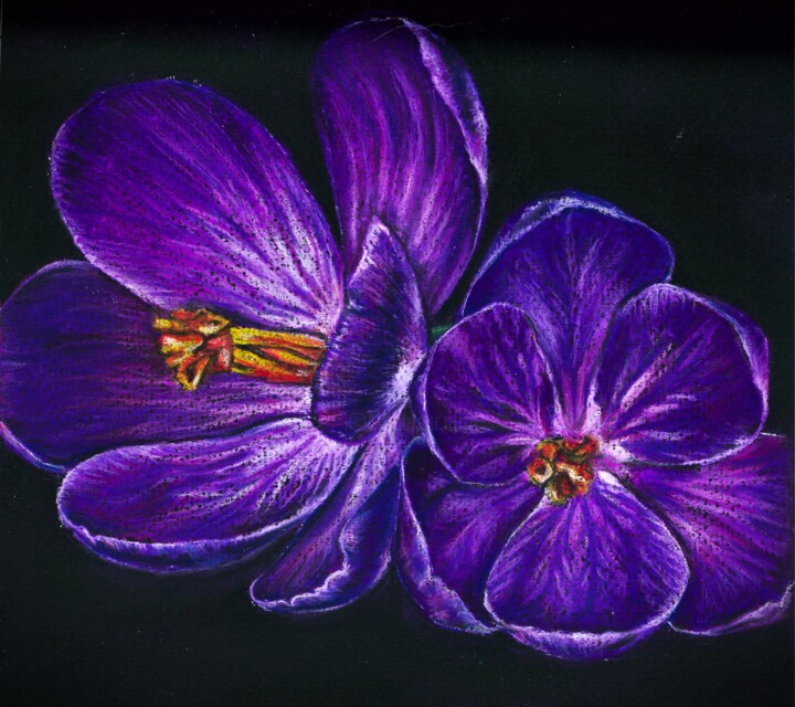 Dibujo titulada "Purple Crocuses" por Polina Turgunova, Obra de arte original, Pastel