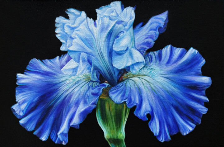 Iris, Painting by Popova Josephine