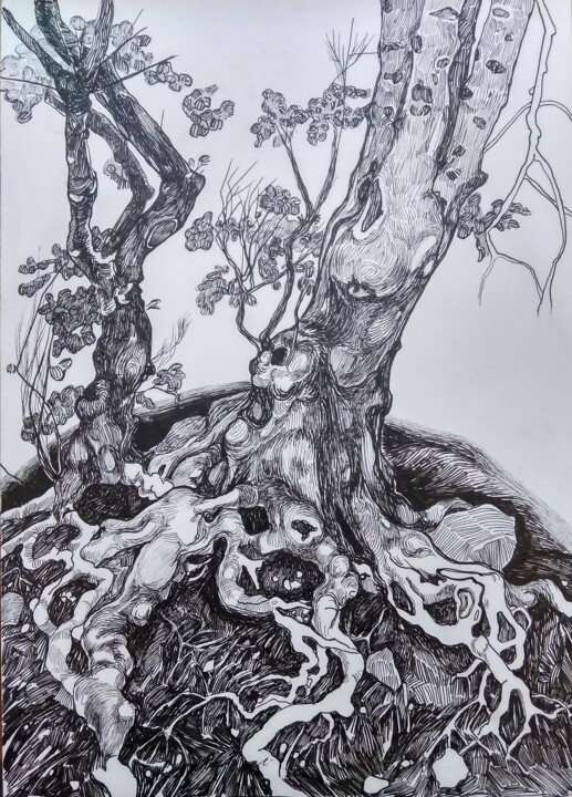 图画 标题为“''Roots''1” 由Raffi Ghazaryan, 原创艺术品, 中性笔