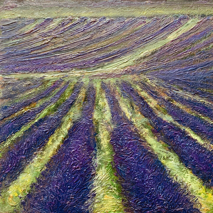 Schilderij getiteld "CAMPO DI LAVANDA" door Redi Casarsa, Origineel Kunstwerk, Olie