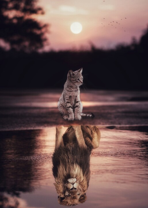 Digital Arts titled "Tous les chats sont…" by Rigaud Mickaël (Gen Z), Original Artwork, Manipulated Photography