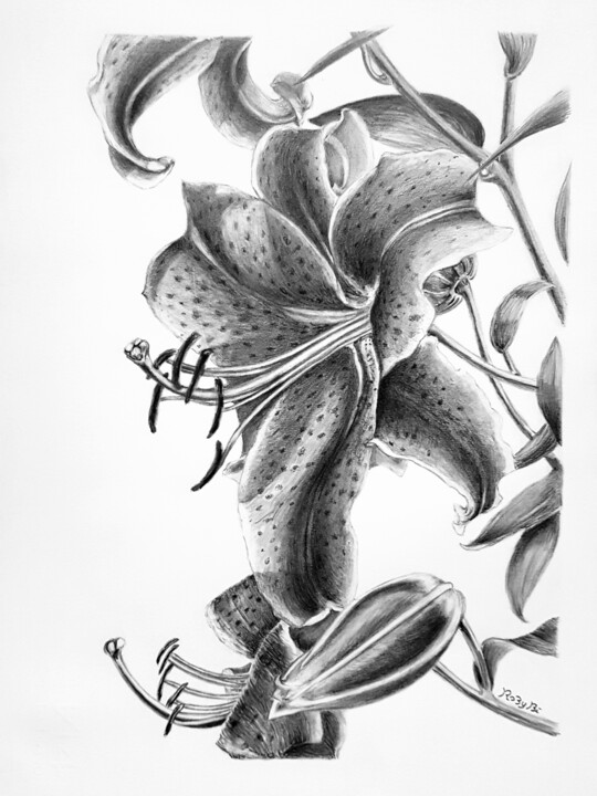 Dibujo titulada "Lilium Oriental" por Roby Bí, Obra de arte original, Grafito