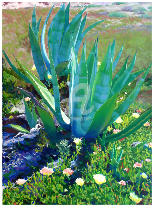 Pintura titulada "Aloe en playa de Ca…" por Juan Rodriguez, Obra de arte original, Oleo