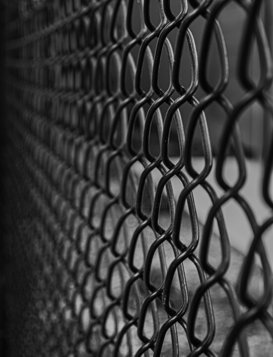 Photography titled "Fenced" by Rohit Kamboj, Original Artwork, Digital Photography