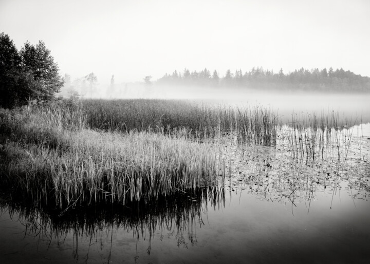 Fotografía titulada "Layers" por Romeo Koitmäe, Obra de arte original, Fotografía analógica