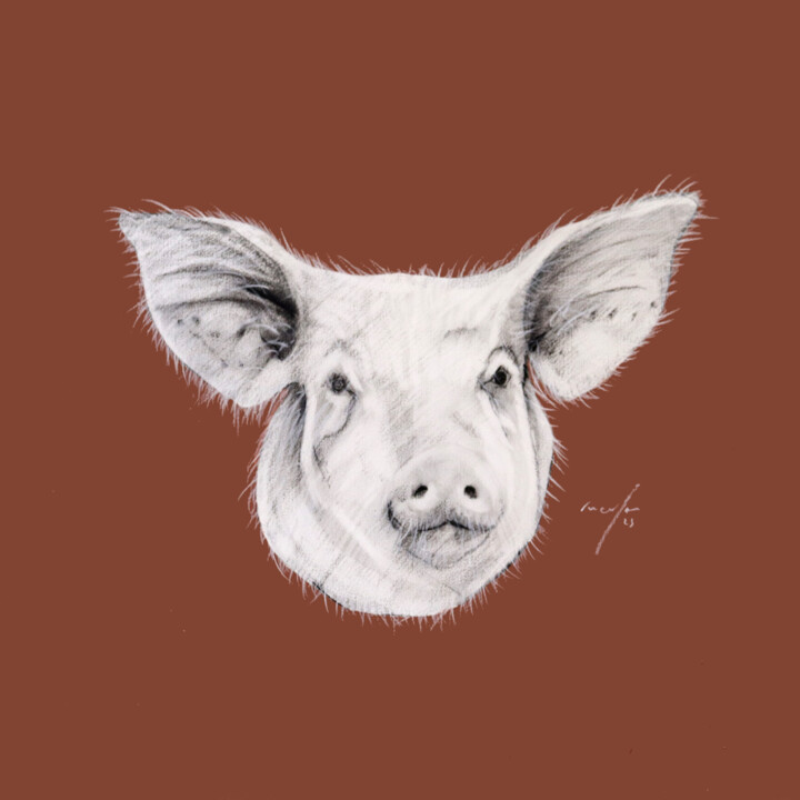 Rysunek zatytułowany „anim ¦ pig” autorstwa Rupert Cefai, Oryginalna praca, Węgiel drzewny
