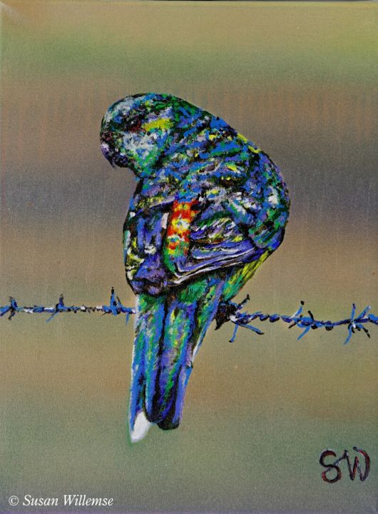 Pintura intitulada "Red- rumped Parakeet" por Susan Willemse, Obras de arte originais, Acrílico Montado em Armação em madeira