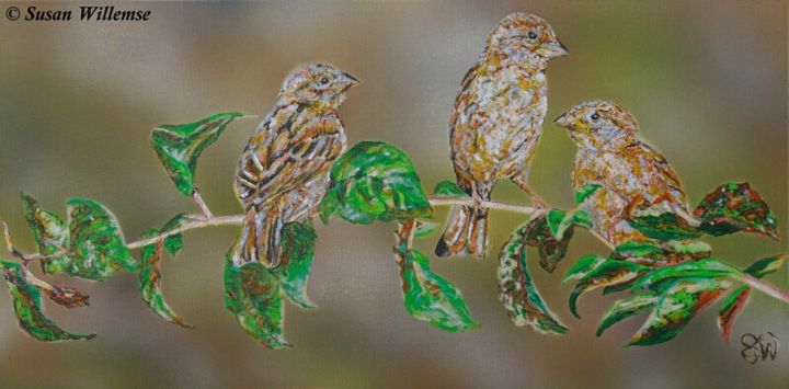 Pintura intitulada "Rural Sparrows" por Susan Willemse, Obras de arte originais, Acrílico Montado em Armação em madeira