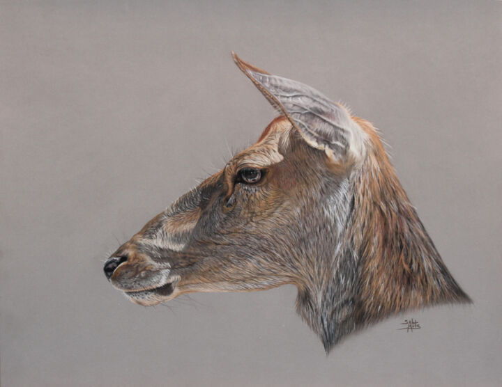 Dessin intitulée "Dame Biche" par Sab Arts, Œuvre d'art originale, Pastel