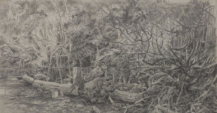 Drawing titled "Jardín de la casa" by Salvador Velarde, Original Artwork, Pencil