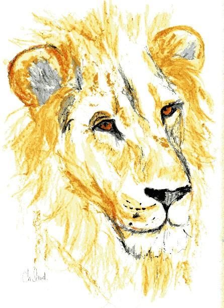 Dessin intitulée "Vieux lion" par Sandrine Champeval, Œuvre d'art originale