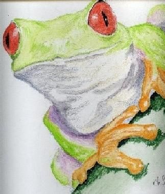 Dessin intitulée "grenouille" par Sandrine Champeval, Œuvre d'art originale