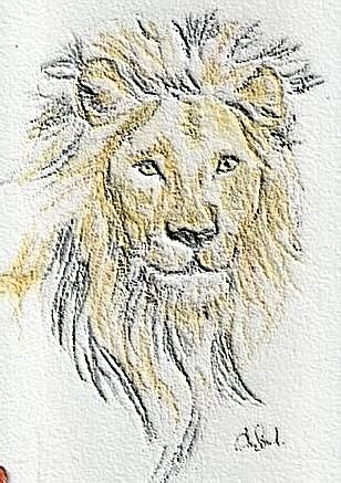 Dessin intitulée "lion" par Sandrine Champeval, Œuvre d'art originale