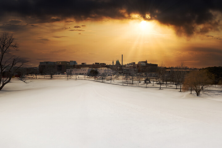 Fotografía titulada "Hiver doré" por Sara Fraysse, Obra de arte original, Fotografía digital