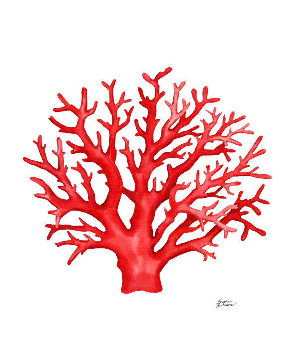 red coral drawing