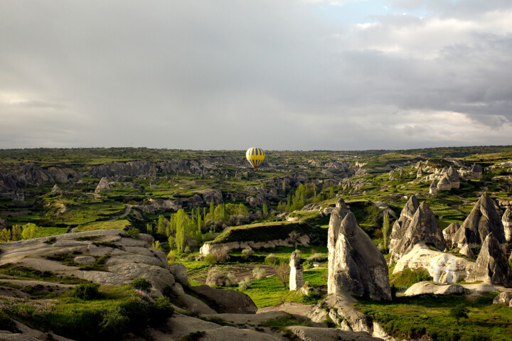 제목이 "Hot air balloon - C…"인 사진 Scott Gregory Banner로, 원작, 디지털