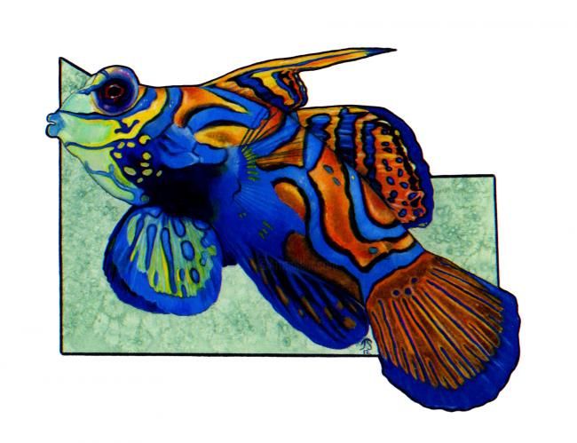 Pittura intitolato "Mandarin Fish" da Julie Swenson, Opera d'arte originale