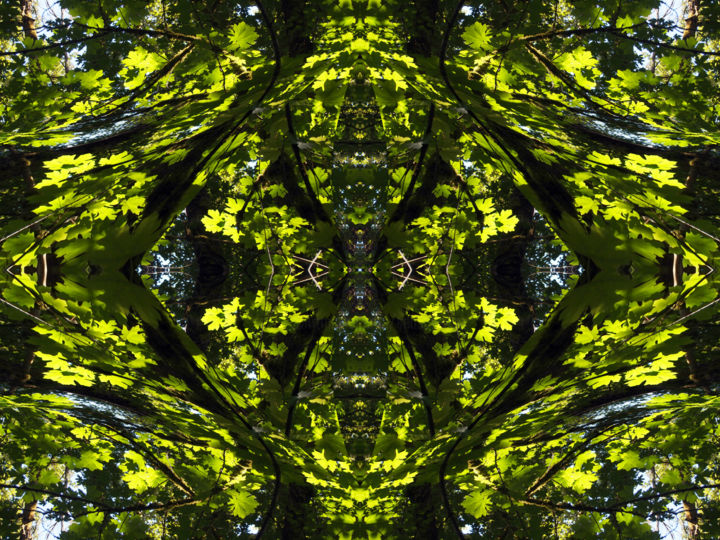 Digital Arts titled "Forest Abstract 30" by Kenneth Grzesik, Original Artwork, Digital Painting