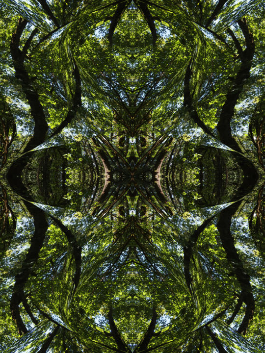 Digital Arts με τίτλο "Forest Abstract 66" από Kenneth Grzesik, Αυθεντικά έργα τέχνης, 2D ψηφιακή εργασία