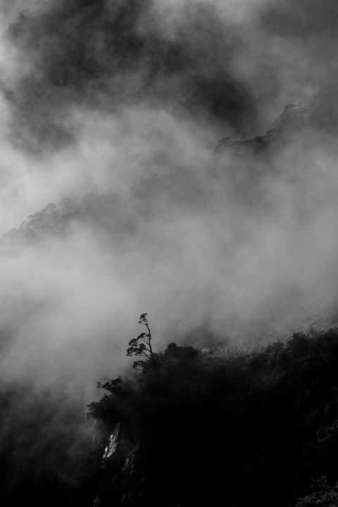 Fotografia zatytułowany „Fog” autorstwa Sebastian Hartel, Oryginalna praca, Fotografia cyfrowa