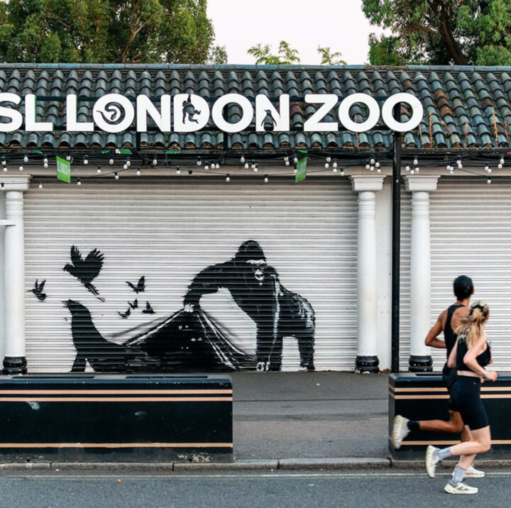 The Guerrilla Gorilla: London Zoo Removes Banksy's Mural for Preservation