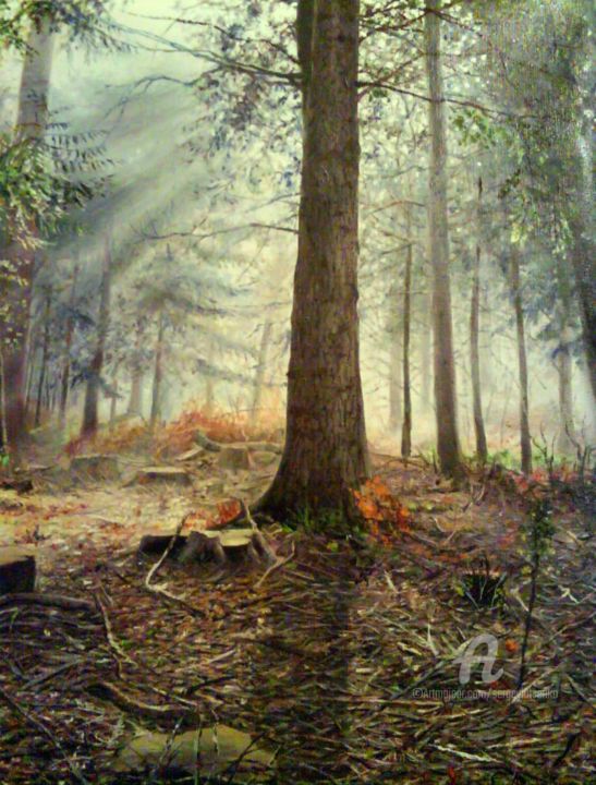 Painting titled "In the woods" by Sergey Lutsenko, Original Artwork, Oil