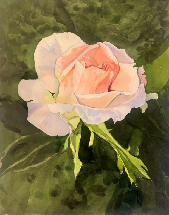 绘画 标题为“The Rose” 由Sergii Selega, 原创艺术品, 水彩